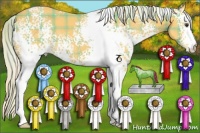 Horse Color:Plaid  White Spotted Palomino 