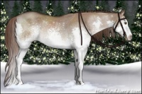 Horse Color:White Spotted Liver Red Dun Splash Rabicano
