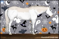 Horse Color:Smoky Creme Dun Splash