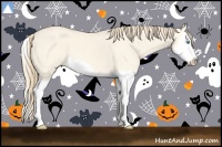 Horse Color:Perlino Dun Splash 