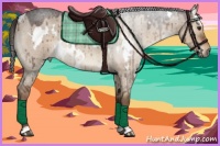 Horse Color:White Spotted Liver Red Dun Roan Rabicano