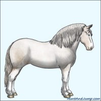 Horse Color:White Spotted Chocolate Palomino Pearl Sabino 