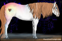 Horse Color:Buckskin Roan Pearl Onyx Splash Appaloosa Rabicano