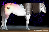 Horse Color:Brown Roan Onyx Splash Frame Appaloosa Rabicano