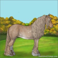 Horse Color:Chocolate Palomino Roan 