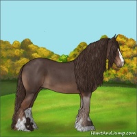 Horse Color:Liver Red Roan Sabino 