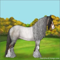 Horse Color:Liver Red Roan Sabino 