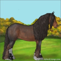 Horse Color:Liver Red Roan 