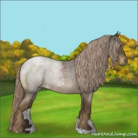 Horse Color:Chocolate Palomino Roan 
