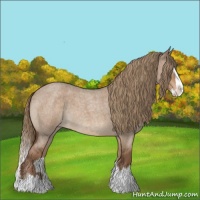 Horse Color:Liver Red Dun Roan Splash Appaloosa 