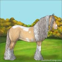 Horse Color:Silver Sable Cream Champagne Dun Tobiano Frame