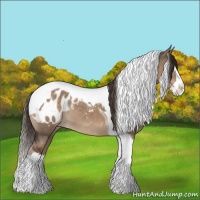 Horse Color:Liver Red Dun Splash Tobiano Blanket 