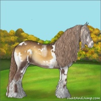 Horse Color:White Spotted Chocolate Palomino Onyx 