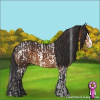 Horse Color:White Spotted Buckskin Splash Blanket  and Buckskin Sabino Splash 