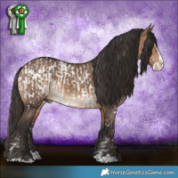 Horse Color:Buckskin Sabino Splash Near Leopard  and White Spotted Brown Dun Splash 