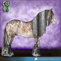 Horse Color:Buckskin Sabino Splash Near Leopard  and White Spotted Brown Dun Splash 