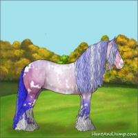 Horse Color:Watercolor White Spotted Brown Dun Sabino 