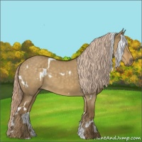 Horse Color:White Spotted Chocolate Palomino Dun 