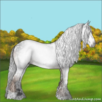 Horse Color:Gray White Spotted Liver Chestnut 
