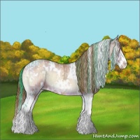 Horse Color:Watercolor White Spotted Bay Roan Onyx Splash  and White Spotted Gold Champagne Ice Onyx Splash Tobiano Appaloosa 