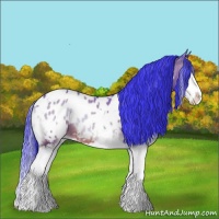 Horse Color:Watercolor White Spotted Bay Ice Onyx Splash Appaloosa 