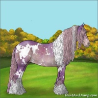 Horse Color:Watercolor White Spotted Liver Chestnut Rabicano 