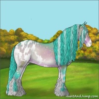 Horse Color:Watercolor White Spotted Brown Roan Onyx Blanket 