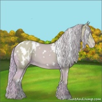 Horse Color:Watercolor White Spotted Cremello Varnish 