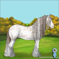 Horse Color:White Spotted Liver Red Dun Splash Near Fewspot  and White Spotted Gold Champagne Dun Splash Near Leopard 