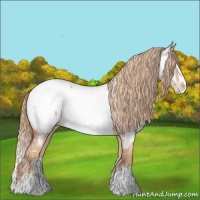 Horse Color:White Spotted Gold Champagne Dun Splash Appaloosa 