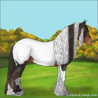 Horse Color:Liver Chestnut Tobiano Near Fewspot 