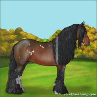 Horse Color:White Spotted Brown 