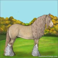Horse Color:Chocolate Palomino Dun 