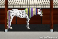 Horse Color:Painted Black Splash Tobiano Rabicano 