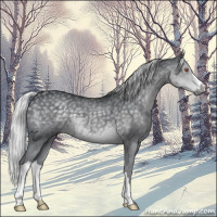 Horse Color:Silver Black Chinchilla 