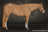 Horse Color:Chestnut Splash Frame