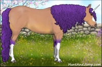Horse Color:Watercolor Bay Roan 