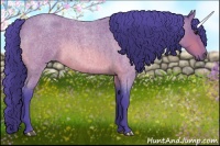 Horse Color:Watercolor Bay Roan 