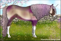 Horse Color:Silver Blue Onyx 