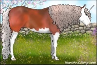 Horse Color:Silver Bay Splash 