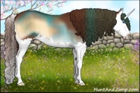 Horse Color:Red Onyx Splash 