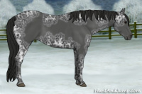 Horse Color:Gray Black Ice 