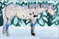 Horse Color:Watercolor White Spotted Silver Bay Chinchilla