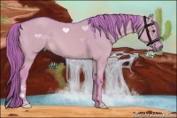 Horse Color:Watercolor Red Dun 