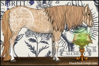 Horse Color:Red Dun  and Red Dun 