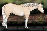 Horse Color:White Spotted Silver Bay Pearl Dun Sabino Rabicano