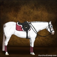Horse Color:White Spotted Liver Chestnut Tobiano Frame Appaloosa