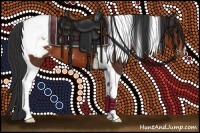 Horse Color:Brown Tobiano Appaloosa