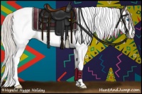 Horse Color:Silver Black Splash Tobiano Appaloosa 