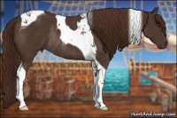 Horse Color:Liver Chestnut Tobiano Rabicano 